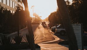 Preview wallpaper street, trees, buildings, cars, sunlight