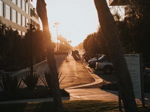 Preview wallpaper street, trees, buildings, cars, sunlight