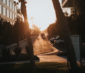 Preview wallpaper street, trees, buildings, cars, sunlight