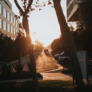 Preview wallpaper street, trees, buildings, cars, sunlight