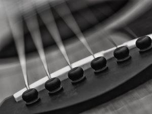 Preview wallpaper strings, guitar, macro, music, black and white
