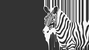 Preview wallpaper stripes, animal, zebra, flows