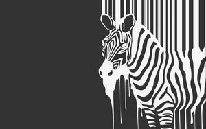 Preview wallpaper stripes, animal, zebra, flows
