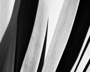Preview wallpaper stripes, background, bw