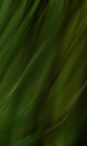 Preview wallpaper stripes, lines, distortion, blur, green