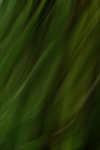 Preview wallpaper stripes, lines, distortion, blur, green