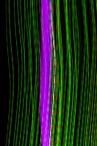 Preview wallpaper stripes, lines, neon, dark, glow