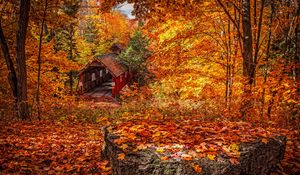 Preview wallpaper structure, autumn, foliage