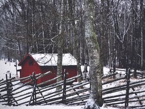 Preview wallpaper structure, forest, trees, winter