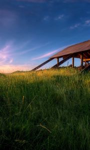 Preview wallpaper structure, grass, greens, field, morning