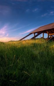 Preview wallpaper structure, grass, greens, field, morning