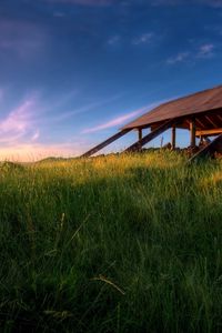 Preview wallpaper structure, grass, greens, field, morning