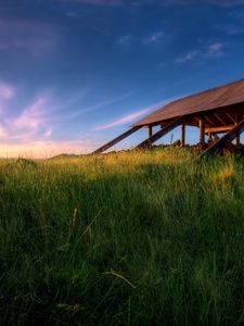 Preview wallpaper structure, grass, greens, field, morning