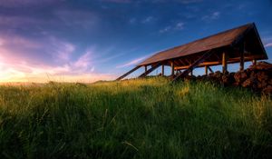 Preview wallpaper structure, grass, greens, field, morning