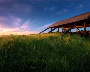 Preview wallpaper structure, grass, greens, field, morning