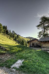 Preview wallpaper structure, grass, trees, hdr