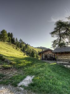 Preview wallpaper structure, grass, trees, hdr