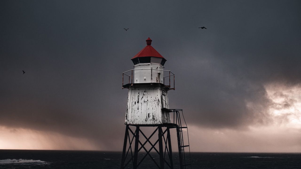 Wallpaper structure, sea, birds, waves