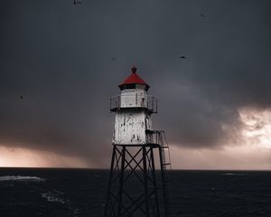 Preview wallpaper structure, sea, birds, waves