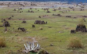 Preview wallpaper stubs, coast, river, grass