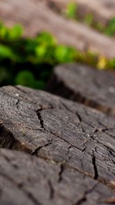 Preview wallpaper stump, close-up, wood, background