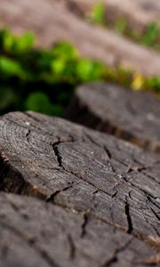 Preview wallpaper stump, close-up, wood, background