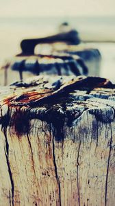 Preview wallpaper stump, log, wood, dark