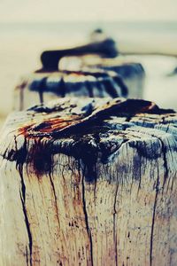 Preview wallpaper stump, log, wood, dark