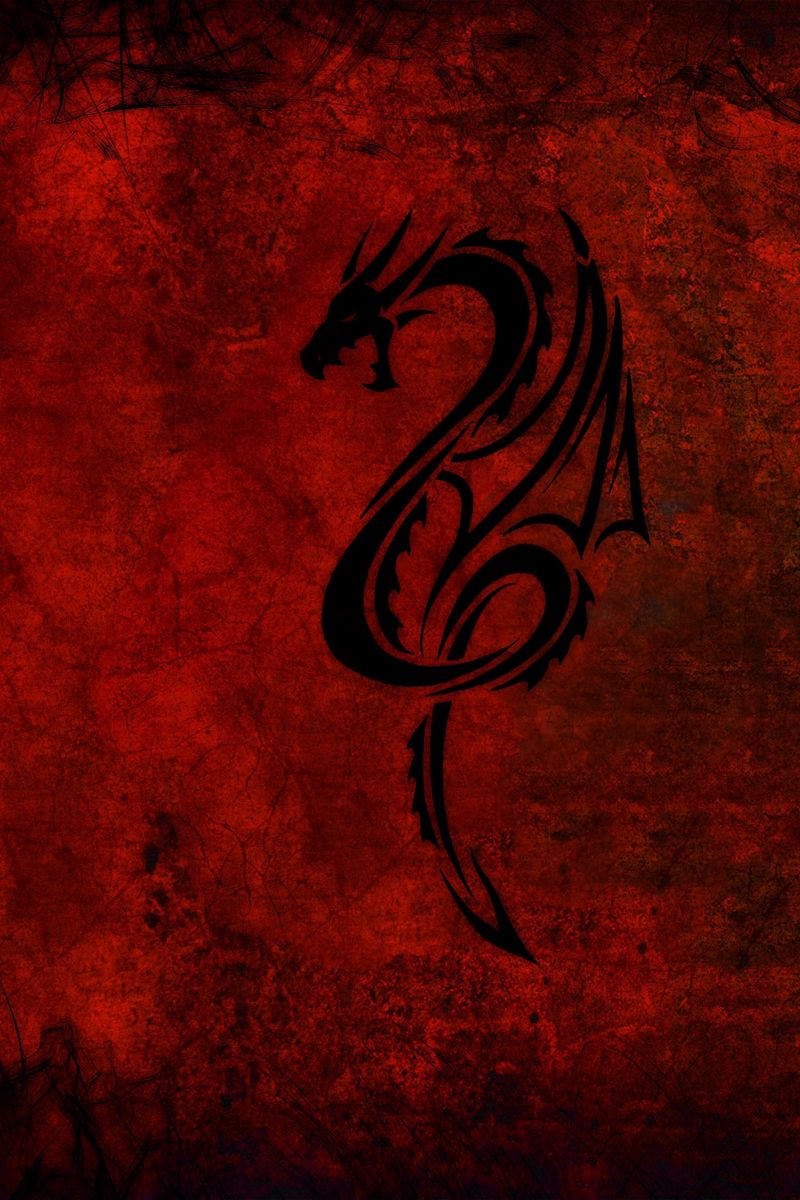 800x1200 Wallpaper style, abstract, dragon