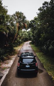 Preview wallpaper subaru forester, subaru, car, rear view, palm trees