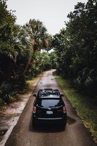 Preview wallpaper subaru forester, subaru, car, rear view, palm trees