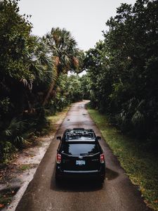 Preview wallpaper subaru forester, subaru, car, rear view, palm trees