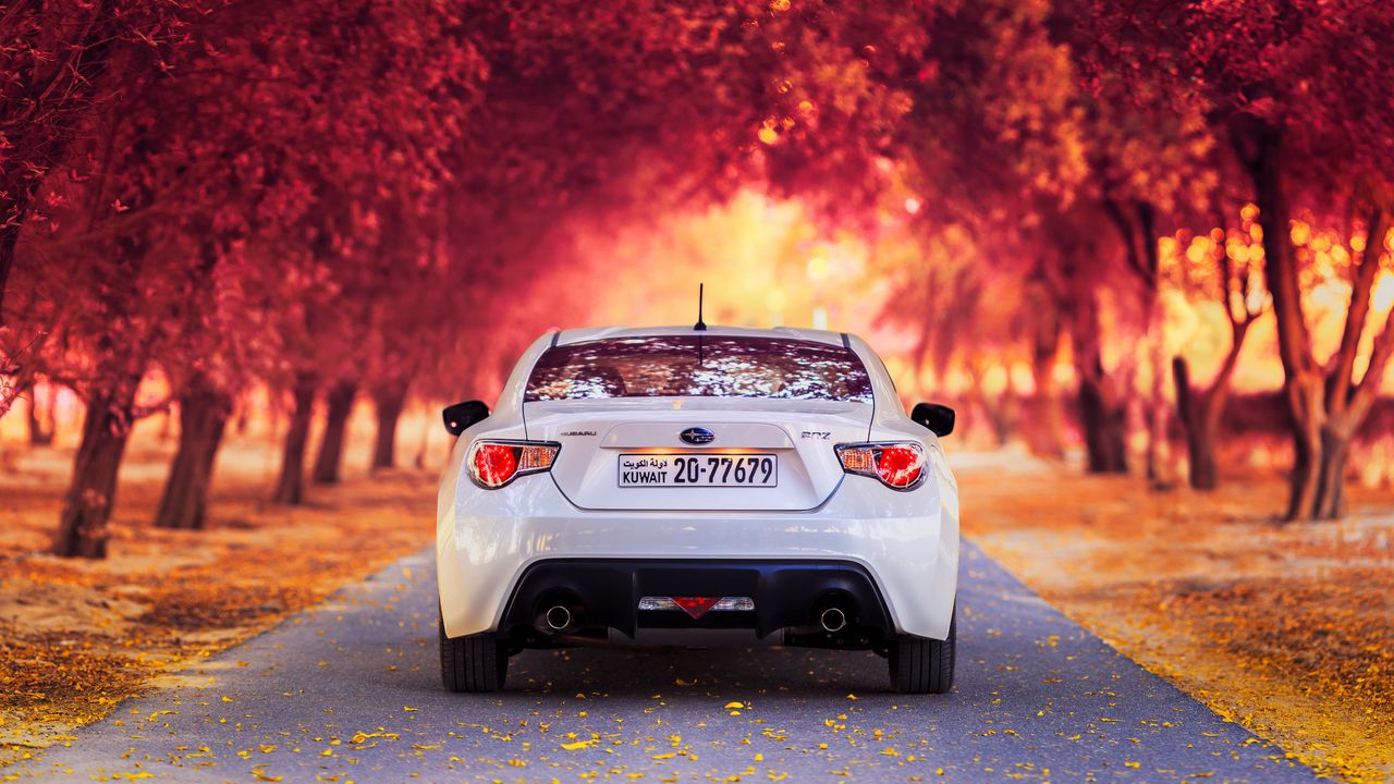 Wallpaper subaru, rear view, autumn, car
