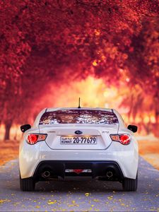 Preview wallpaper subaru, rear view, autumn, car