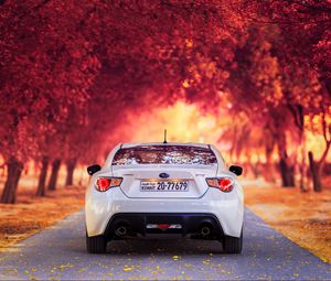 Preview wallpaper subaru, rear view, autumn, car