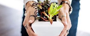 Preview wallpaper succulents, hands, houseplant