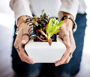 Preview wallpaper succulents, hands, houseplant