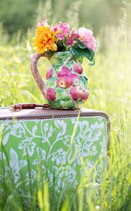 Preview wallpaper suitcase, grass, flowers, vase