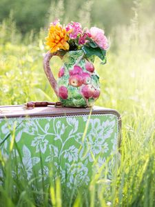 Preview wallpaper suitcase, grass, flowers, vase