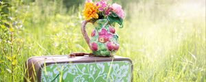 Preview wallpaper suitcase, grass, flowers, vase