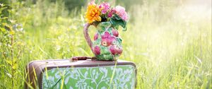 Preview wallpaper suitcase, grass, flowers, vase