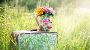 Preview wallpaper suitcase, grass, flowers, vase