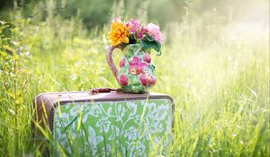 Preview wallpaper suitcase, grass, flowers, vase