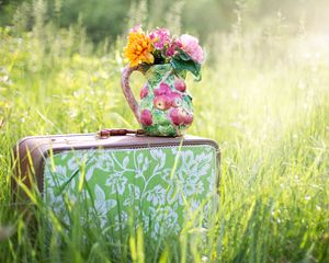 Preview wallpaper suitcase, grass, flowers, vase