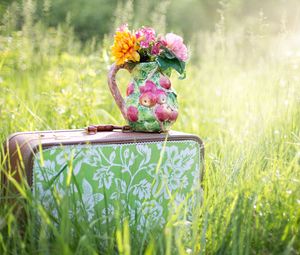 Preview wallpaper suitcase, grass, flowers, vase