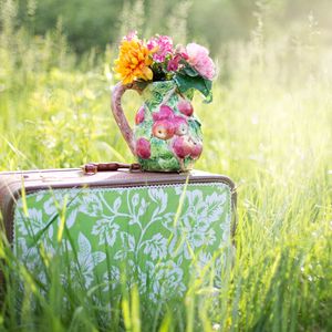 Preview wallpaper suitcase, grass, flowers, vase