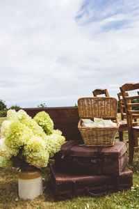 Preview wallpaper suitcases, basket, bouquet, aesthetics