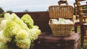 Preview wallpaper suitcases, basket, bouquet, aesthetics