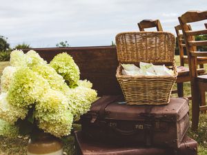 Preview wallpaper suitcases, basket, bouquet, aesthetics