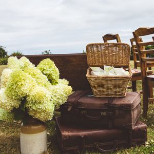 Preview wallpaper suitcases, basket, bouquet, aesthetics